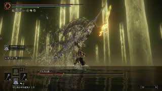 【ELDEN RING】 草木も眠る丑三つ時に神を殺す(願望)【六周目のラダゴン】