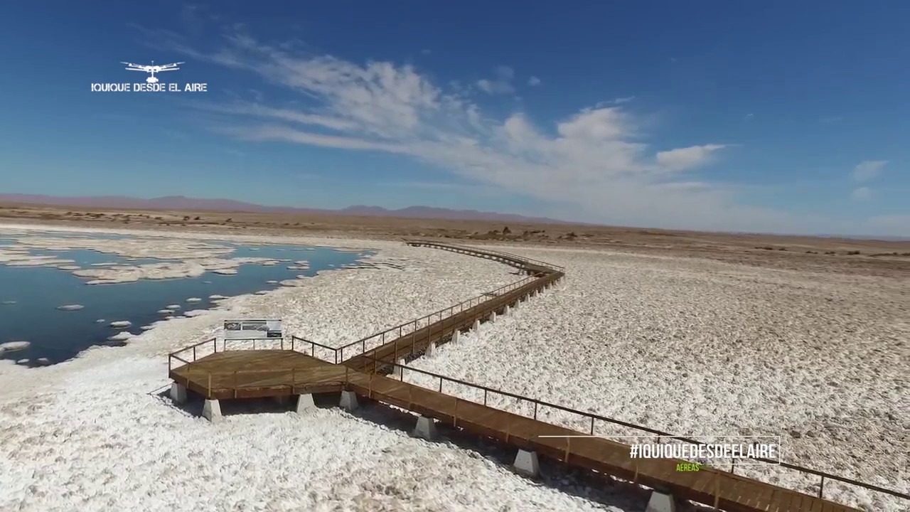 Reserva Nacional Pampa del Tamarugal: Salar de LLamara