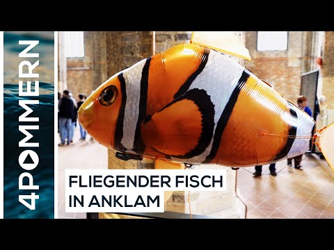 175 Jahre Lilienthal - ein Erfinder der begeistert | Greifswald TV