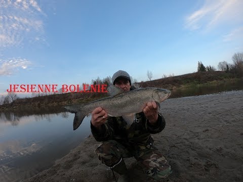 Jesienne Bolenie I Torpedy z Sanu