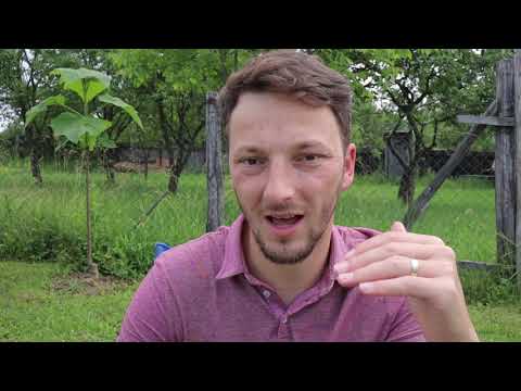 dat pe mâna Satanei | Tălmăciri Ep.10