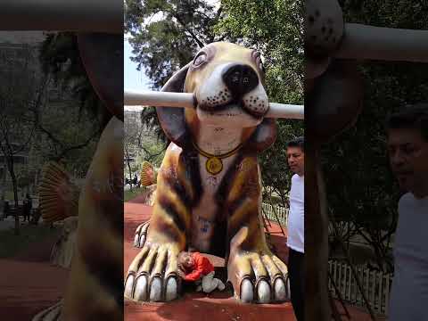 ALİ NECATİ YAVRU KÖPEK OLMUŞ😯😯😯#alinecati#shorts#keşfet #youtubeshorts #cute