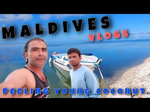 Easy Way To Peeling Young Coconut. Amazing Coconut Cutting Skills. #shorts