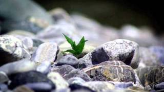 Ligabue - Ho ancora la forza (testo)