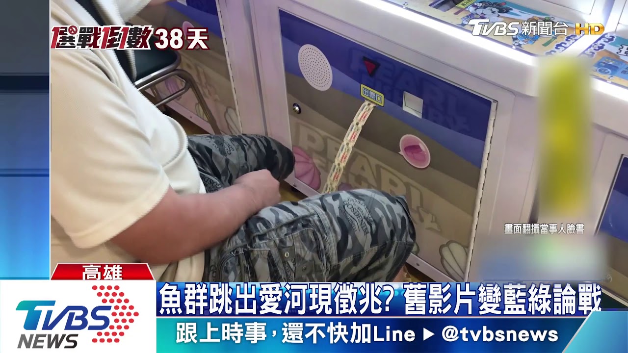 魚群跳出愛河現徵兆? 舊影片變藍綠論戰