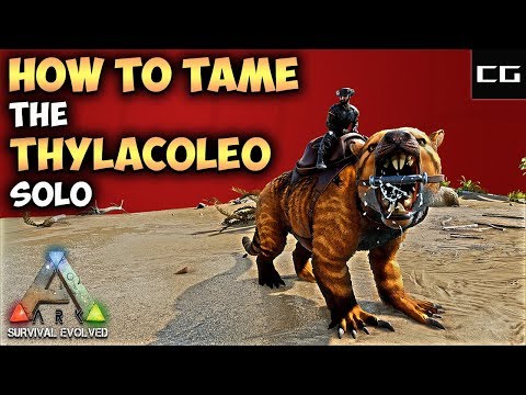 How To Tame The Thylacoleo Solo - Complete The Ark Ep #10