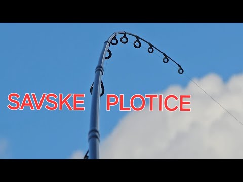 SAVA FEEDER I PLOTICE