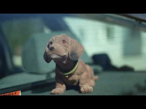 Cachorros | Episódio 260 - Igor