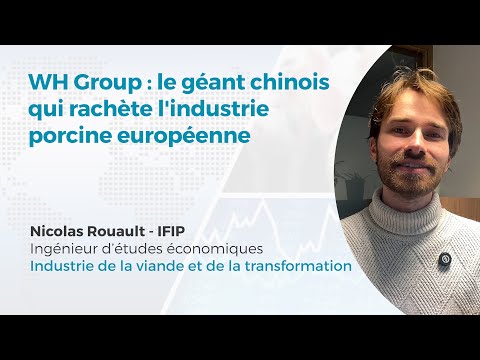 Industrie porcine européenne : focus sur des rachats par un groupe chinois ...