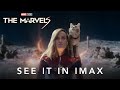 The Marvels | Experience in IMAX Nov 10