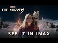 The Marvels | Experience in IMAX Nov 10