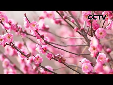 垣曲 历山