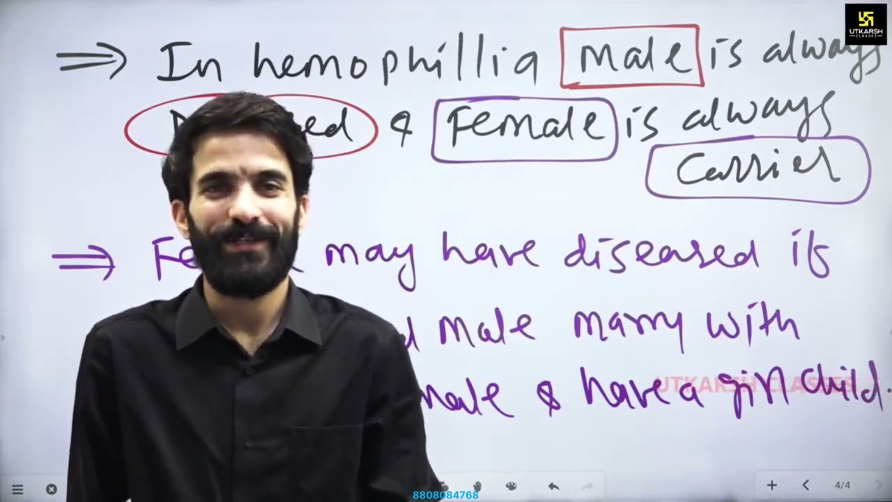 2.6 Blood and Blood Cells/msn