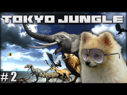 [2][SuperFunTime] Tokyo Jungle - Like a Pomeranian Boss