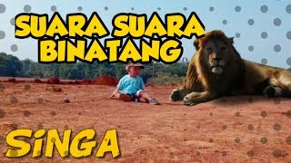 Download lagu Suara Suara Binatang mp3
