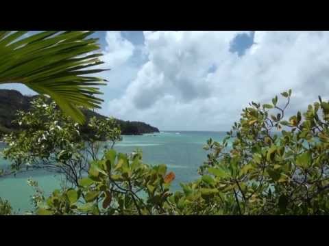 ПУТЕШЕСТВИЕ В ПАРАЛЛЕЛЬНЫЙ МИР