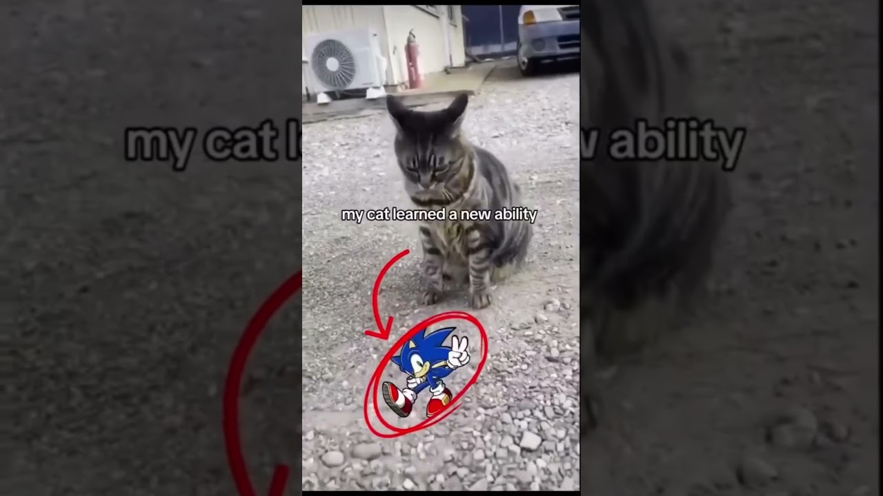 Daily dose of random memes! 🚀 part 428