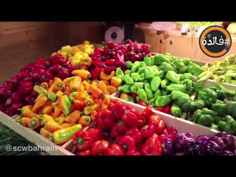 الحلقة الرابعة عشر من برنامج فائدة الرمضاني ٣ .. مع د. أمل داوود وموضوع السلطات في رمضان