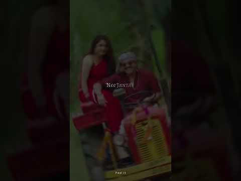 Untale Untale Nee Vente Untale | Soggade Chinni Nayana | Nagarjuna | Ramya Krishna