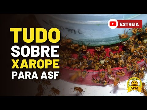, title : 'ALIMENTAÇÃO ENERGÉTICA para Abelhas sem Ferrão'