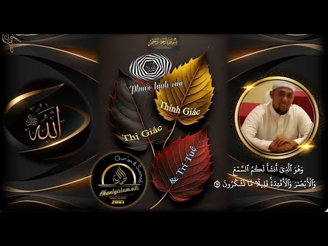 PHƯỚC LÀNH CỦA THÍNH GIÁC - THỊ GIÁC - TRÍ TUỆ