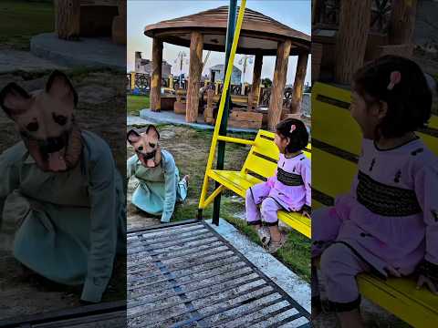 Doggy ne Ajeeb Harqt kar Di 🙀 #funny #dog #shorts #shorts #gfactz