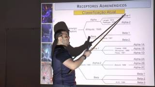 Receptores adrenérgicos e colinérgicos - Acetilcolina e Noradrenalina