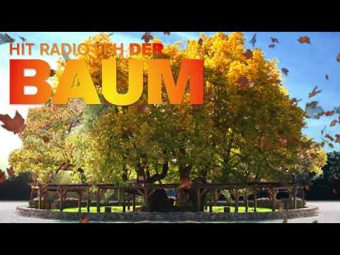 HIT RADIO FFH - Der Baum