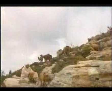 Müziksiz ilahiler 12 - Yemen illerinde Veysel Karani