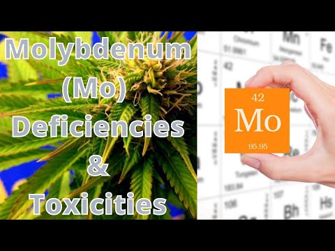 , title : 'Molybdenum (Mo) - Deficiencies, & Toxicities in Plants'