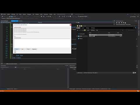 1 Visual Basic L IDE