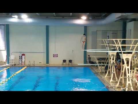 2017 UNCW Men's 3m - Dive 8 203B