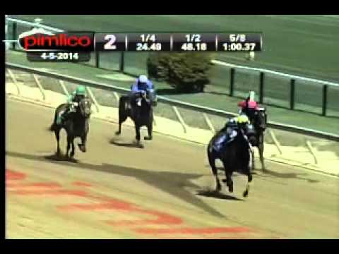 Pimlico 04/05/14 race 2