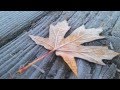 Tim Janis - Reflections HD