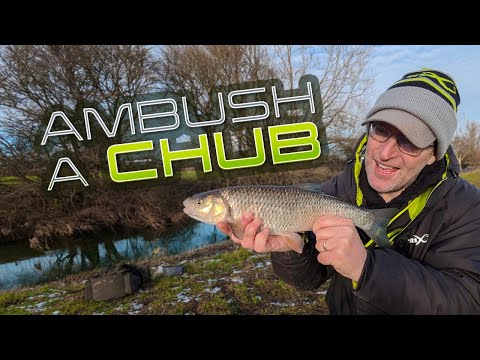 Ambush A Chub!
