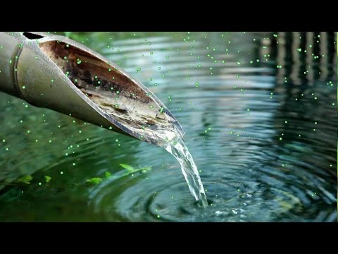 Bambú De Ruido Blanco Para Bebes - Relajante Sonido Del Agua 💚
