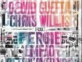 David Guetta Chris Willis Feat. Fergie LMFAO ...