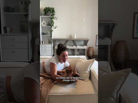 Maven Pet dog parent story