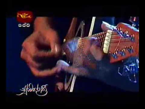 Mage pUNCHI rOSA mALE