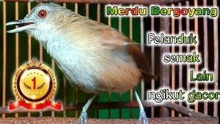 Download lagu merdu Bergoyang pelanduk semak lain auto ngikut gacor nyiul panjang mp3
