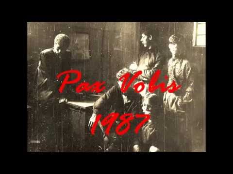 Nelson Vinicius Vindima