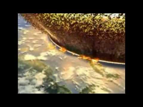 Sasha Da Link - Meteor(NatLife somewhere in the Sky mix).mpg