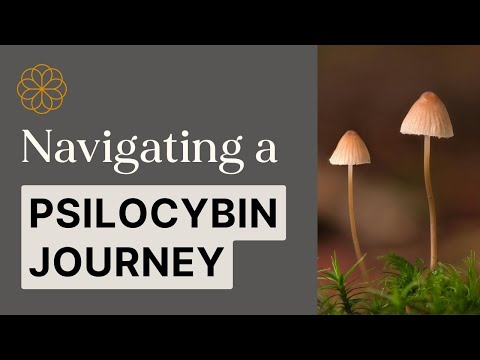 The Art & Science of Psilocybin Journeys: A Comprehensive Guide - Webinar Replay with Paul F. Austin