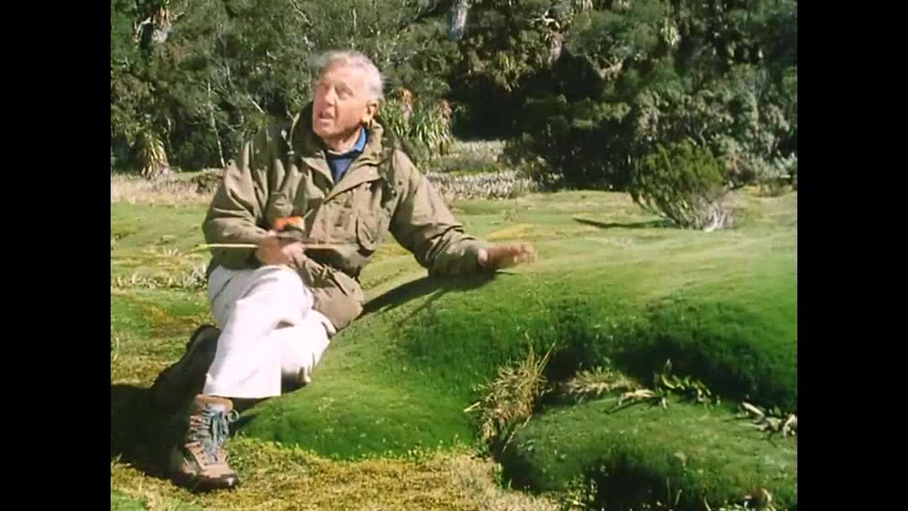 EP 5/6 The Private Life of Plants