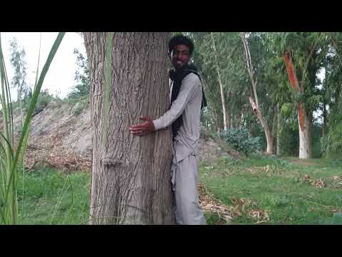 Love for trees _ Nature Lover _ Village boy enjoying with tree _ Village boy Love for trees 