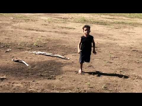 (Explorando Con Yim Maicol 🌳 🌳 🌳)