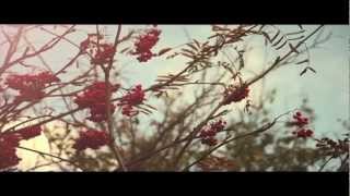 When Saints go Machine - Church and Law