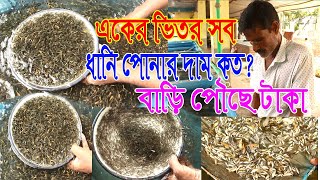মাছের পোনার দাম দর এবং উন্নত মানের ধানি পোনা চেনার উপায় নিয়ে আজকের পর্ব সরাসরি ধানির হ্যাচারী থেকে।