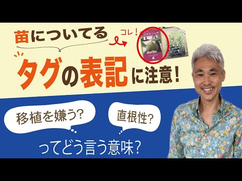 , title : '苗についているタグの表記に注意！！「移植を嫌う？」「直根性？」ってどういう意味？'