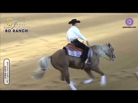 NRHA European futurity 2022 lv1 champion! Heza Frozen Inferno and Glen-Arthur Estival